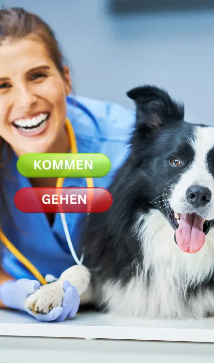 Vorteile der Zeiterfassung für Tierkliniken und Tierarztpraxen